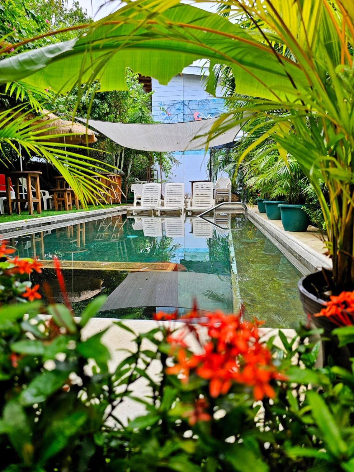 Bellavista Suites By Villas Verdes - Samara Beach Exteriör bild