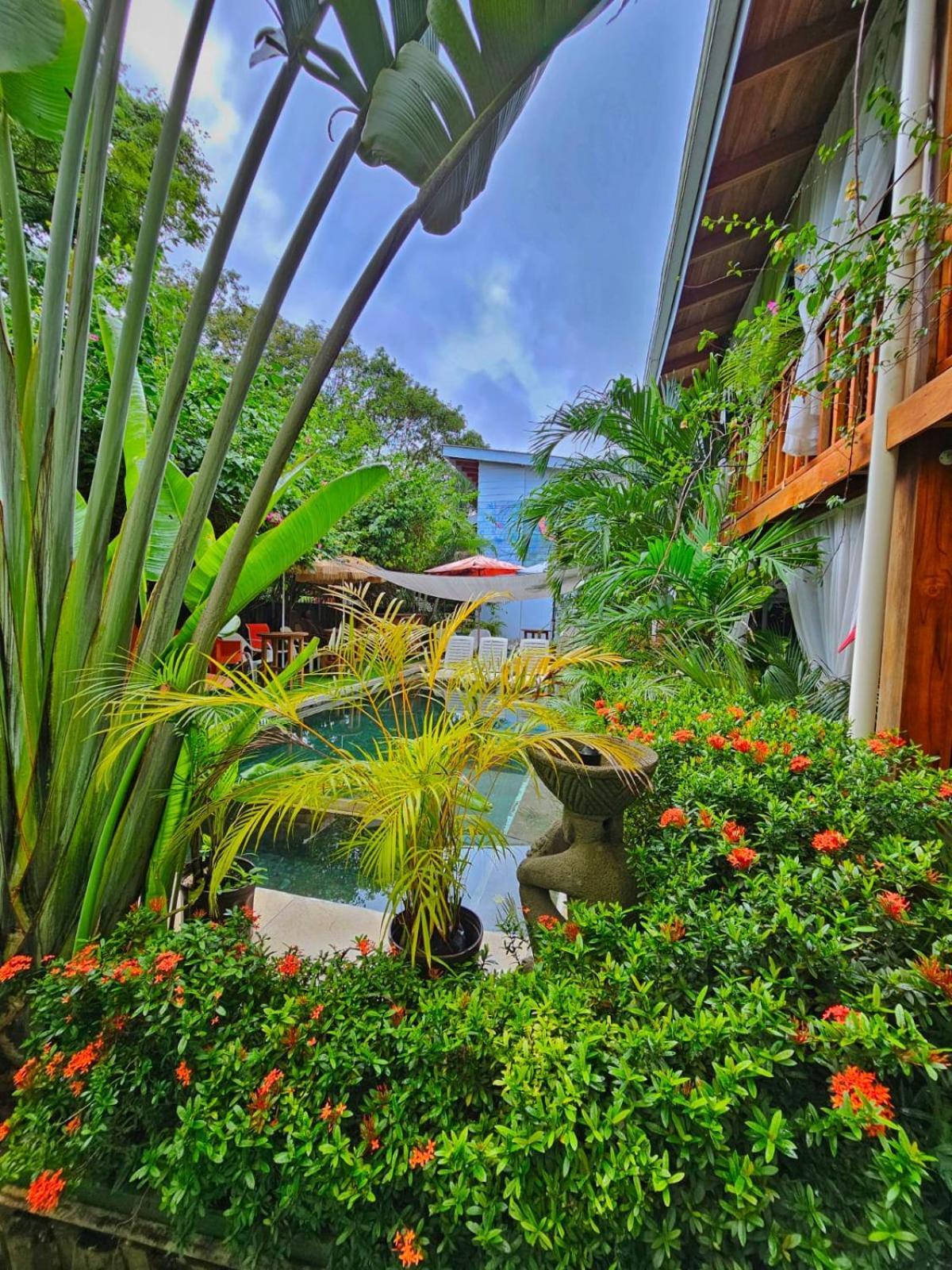 Bellavista Suites By Villas Verdes - Samara Beach Exteriör bild